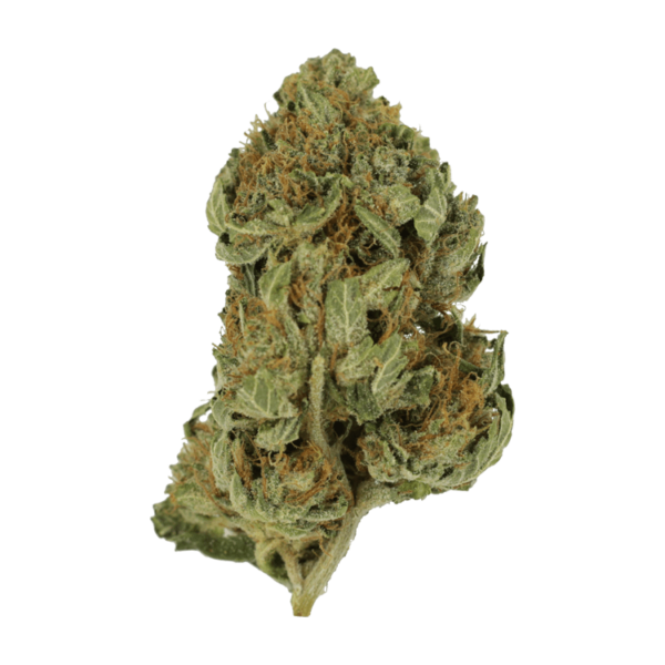 Bubblegum – 1 ounce | Budderweeds Canada