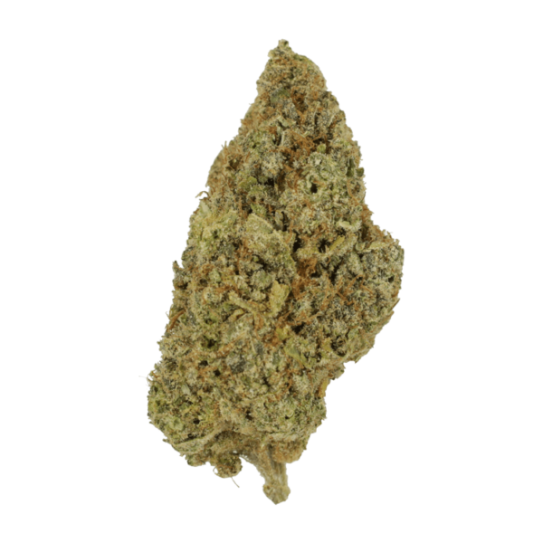 Grape Mimosa | Budderweeds Canada