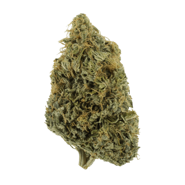 NYC Diesel | Budderweeds Canada