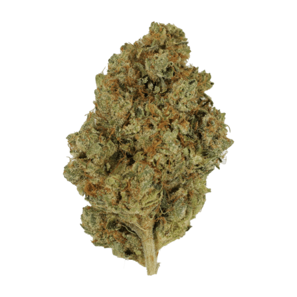 Nepalese | Budderweeds Canada