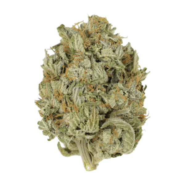 Blue Dream (Popcorn) | Budderweeds Canada