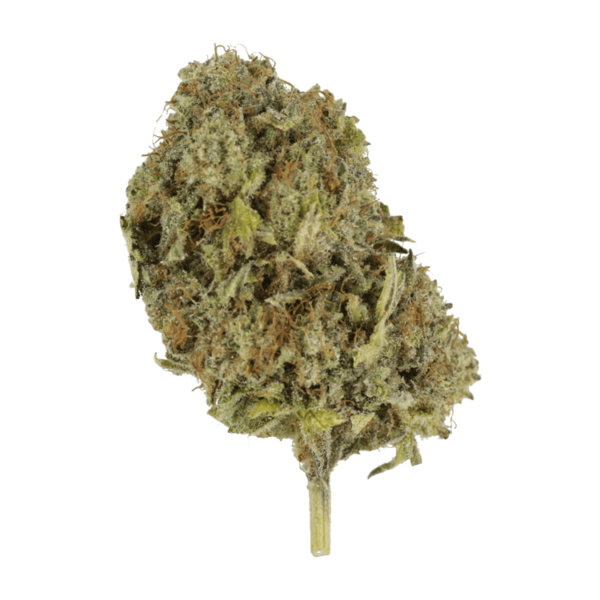 God’s Green Crack | Budderweeds Canada