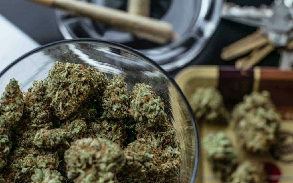 Premium cannabis vs Affordable Weed | Budderweeds Canada