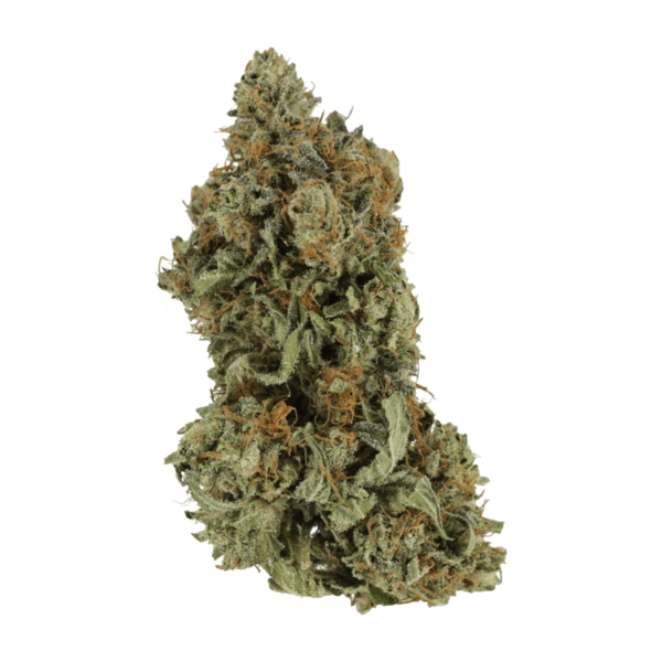 Bruce Banner #3 | Budderweeds Canada