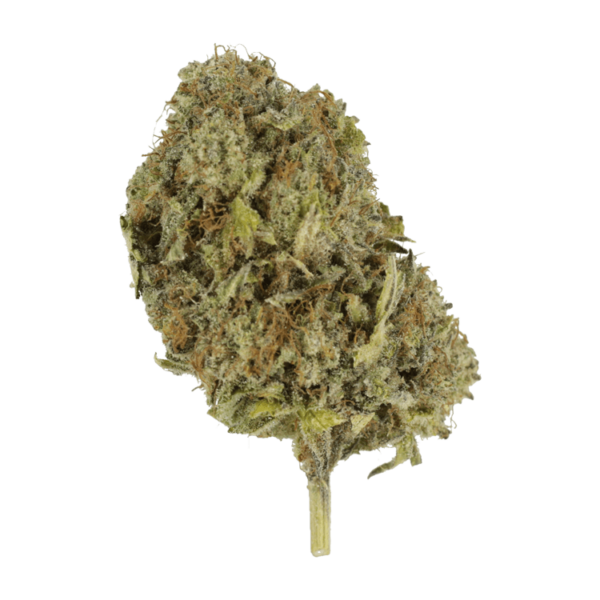 Chemo | Budderweeds Canada