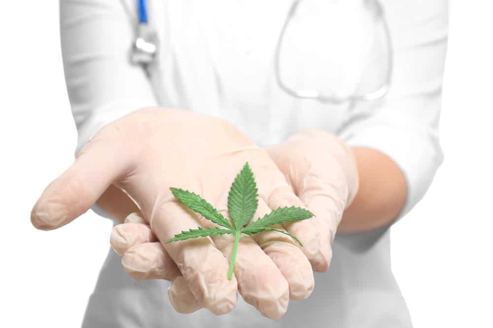 Cannabis as a natural cure for pain | Budderweeds Canada