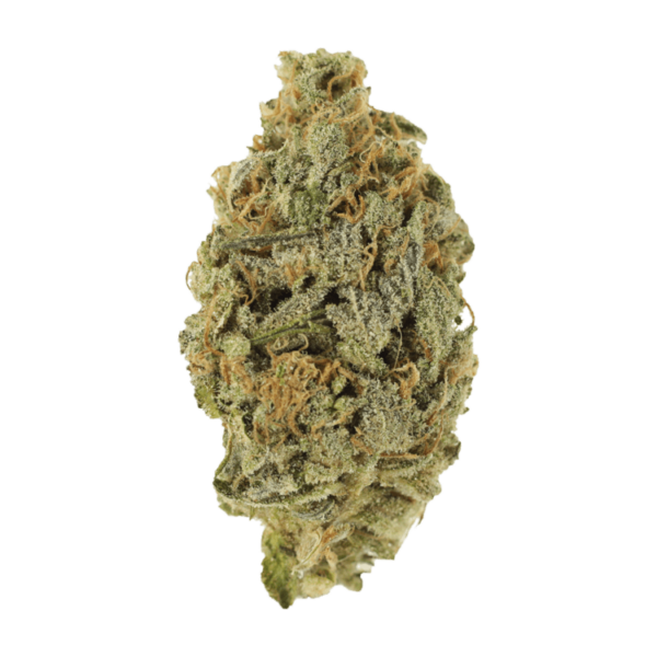 Lavender | Budderweeds Canada