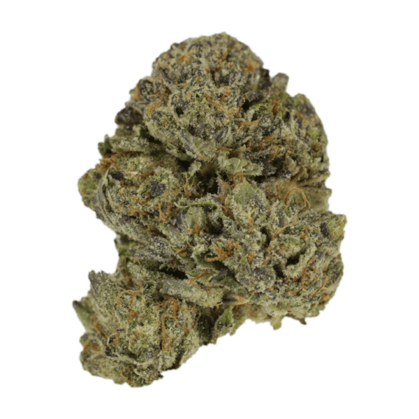 Lavender | Budderweeds Canada