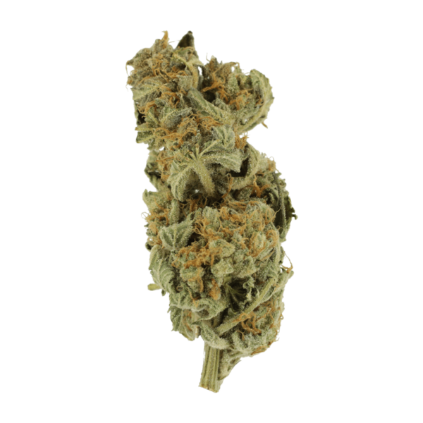 Gorilla Glue | Budderweeds Canada