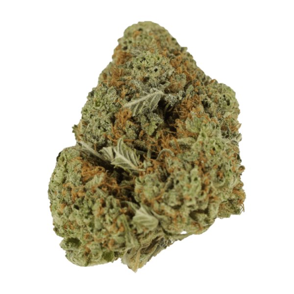 Mataro Blue – 1 ounce | Budderweeds Canada