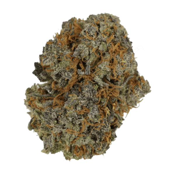 Jack Herer 1 Ounce | Budderweeds Canada