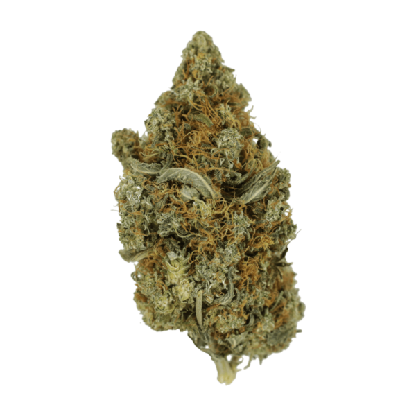 Jack Herer 1 Ounce | Budderweeds Canada