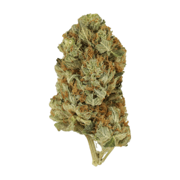 Jet Fuel | Budderweeds Canada
