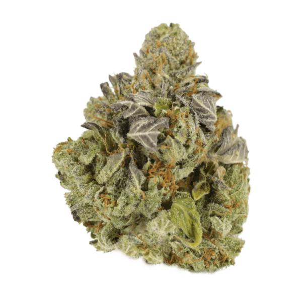Jet Fuel | Budderweeds Canada