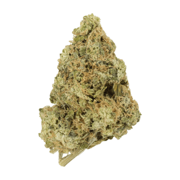 Zombie OG | Budderweeds Canada