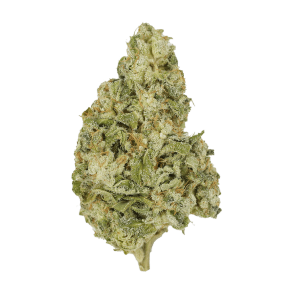 Zombie OG | Budderweeds Canada