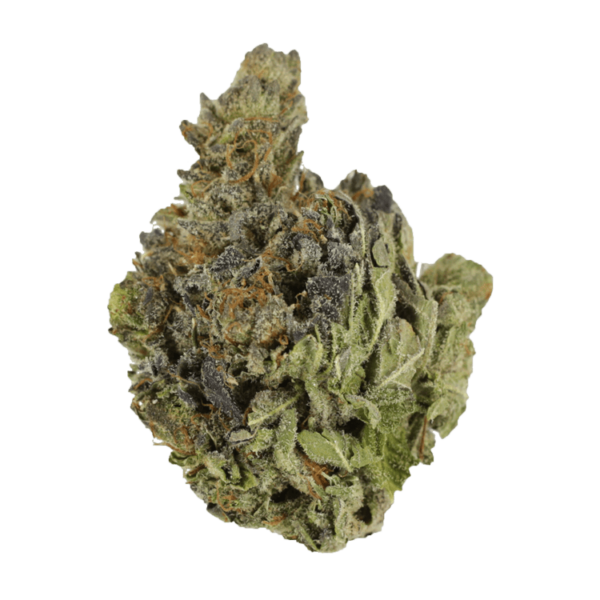 Chocolope | Budderweeds Canada