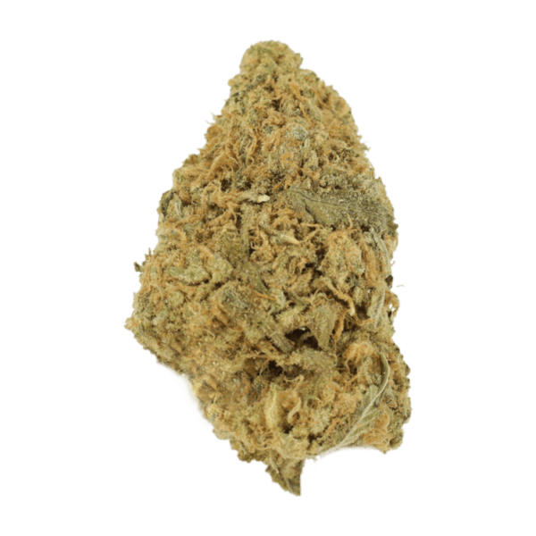 Zombie OG | Budderweeds Canada