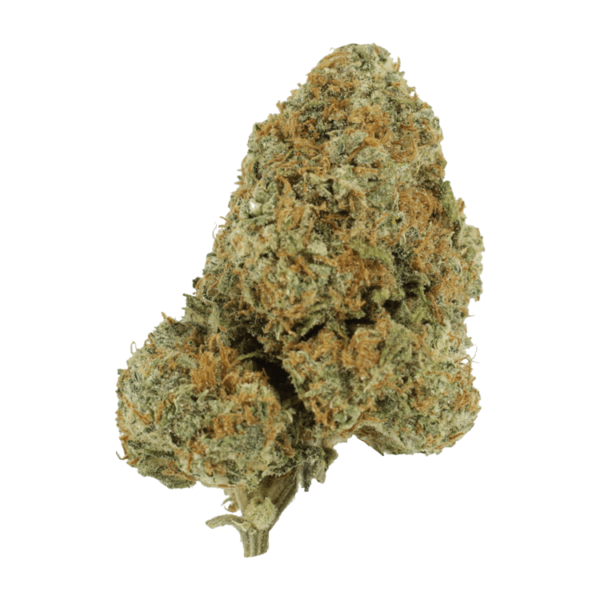 Blue Rhino | Budderweeds Canada