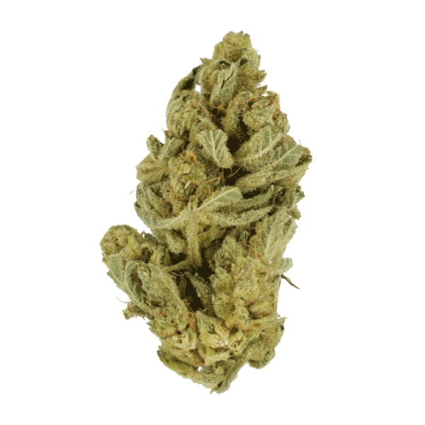Hindu Kush – 7g | Budderweeds Canada