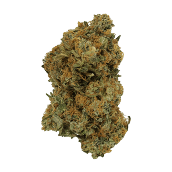 Mimosa | Budderweeds Canada