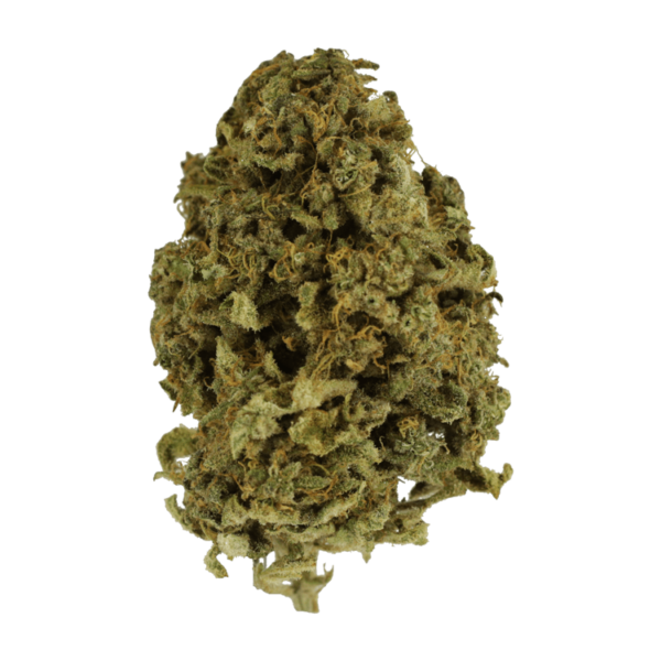 Nebula | Budderweeds Canada