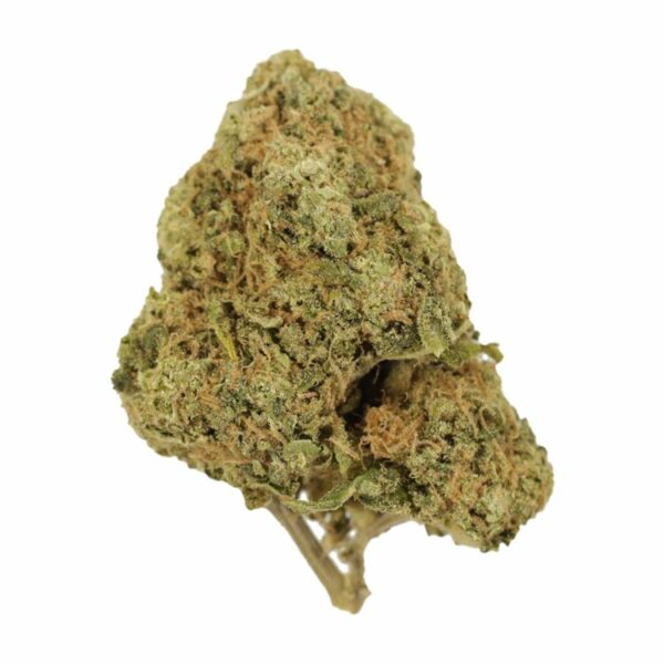 Tangerine Dream | Budderweeds Canada