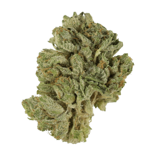 Northern Lights 2 for $69 | Budderweeds Canada