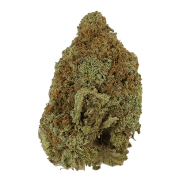Mango Haze | Budderweeds Canada