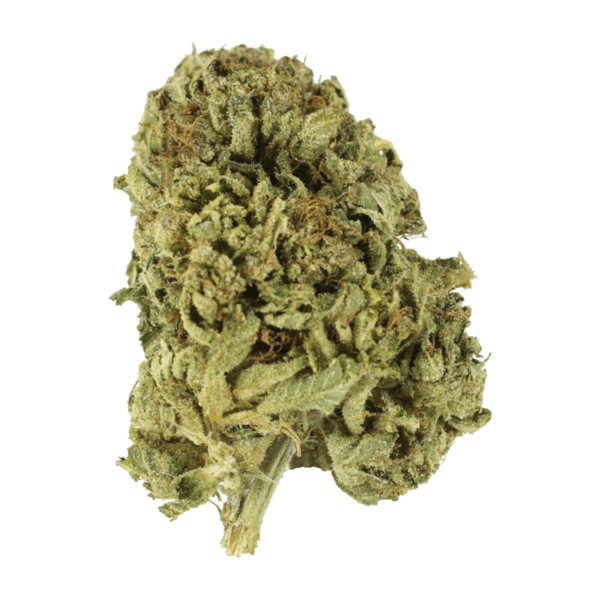 Sour Diesel | Budderweeds Canada