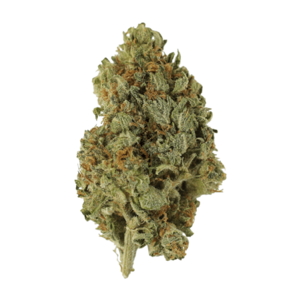 Sugar Cookies | Budderweeds Canada