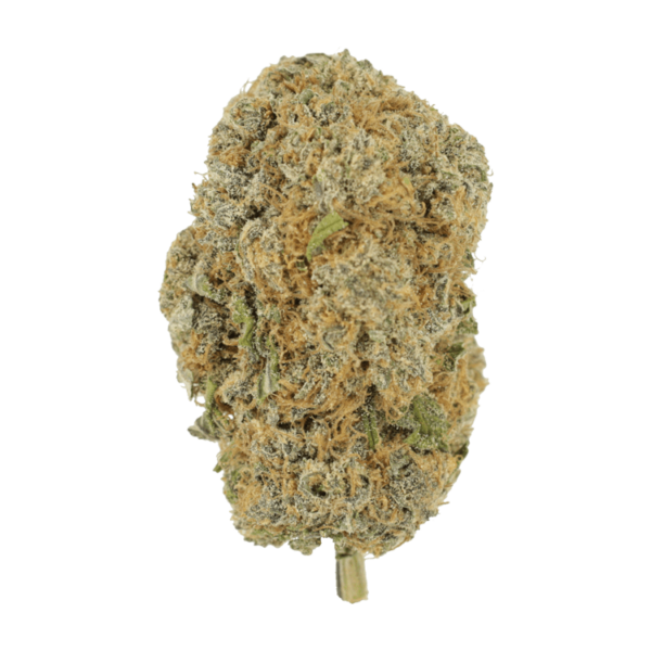 Pine Tar - | Budderweeds Canada