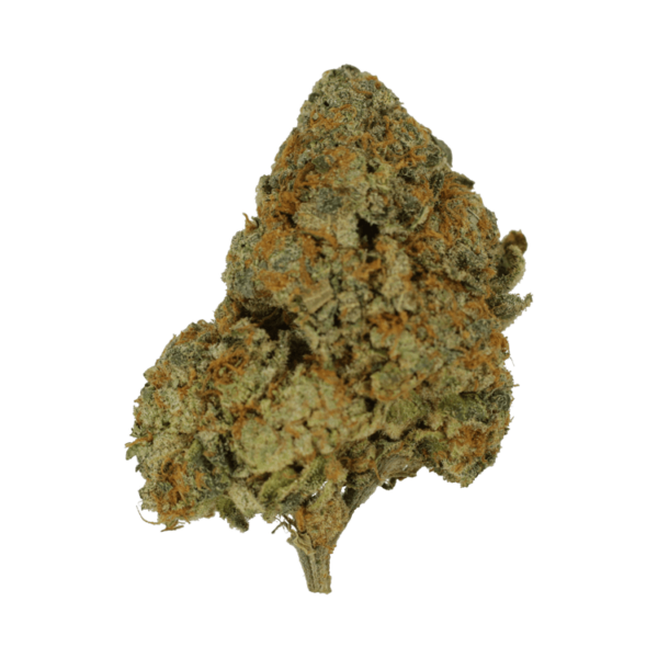 9lb Hammer | Budderweeds Canada