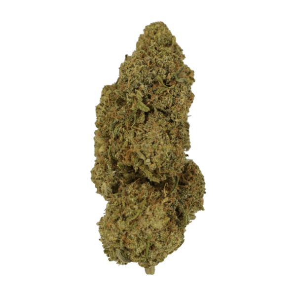 9lb Hammer | Budderweeds Canada