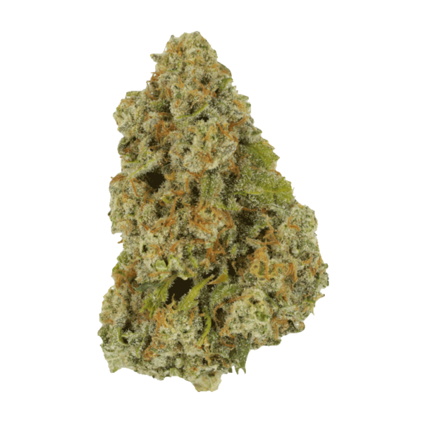 Colorado Diesel | Budderweeds Canada