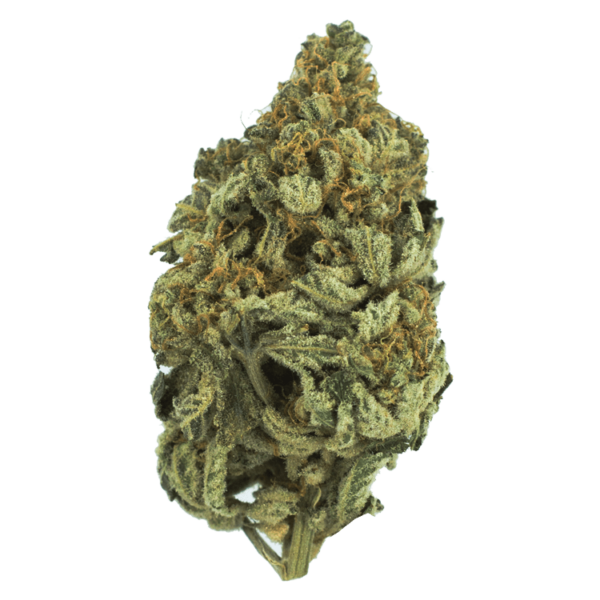 Bakerstreet | Budderweeds Canada