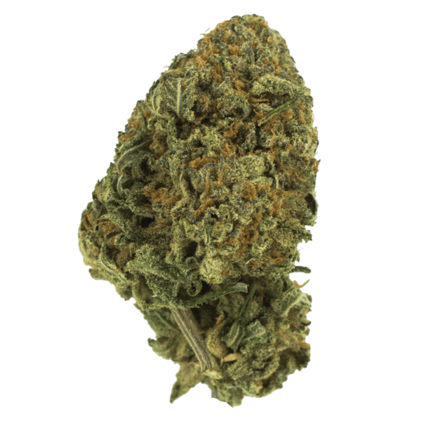Black Nuken | Budderweeds Canada