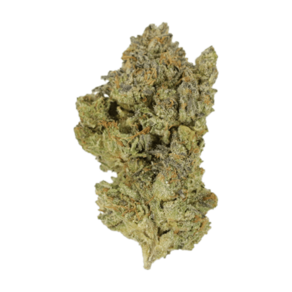 Golden Goat | Budderweeds Canada