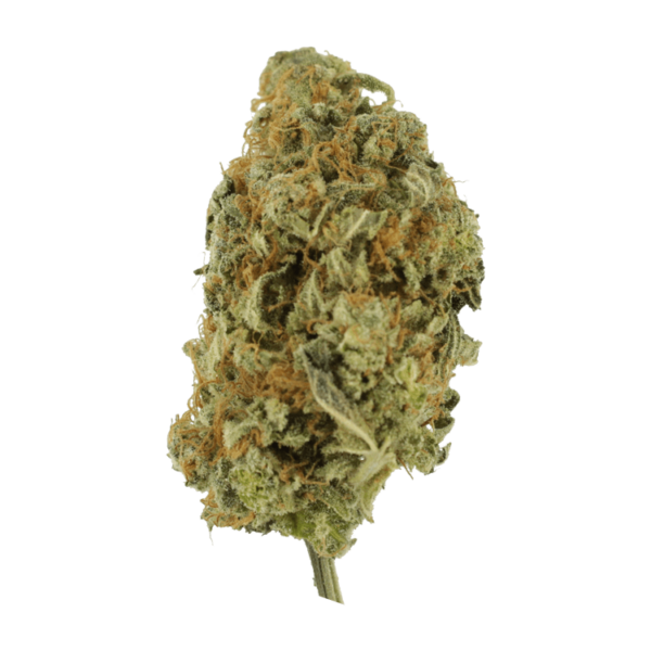 Lollypop – 1 ounce | Budderweeds Canada