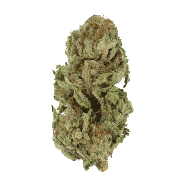 Golden Goat | Budderweeds Canada