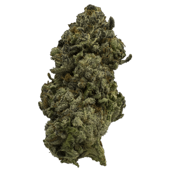 Fire Alien Urkle | Budderweeds Canada