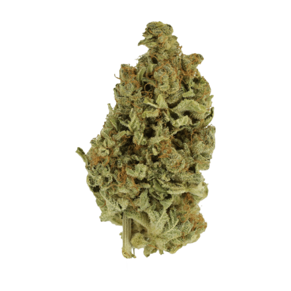 Cali Gold | Budderweeds Canada