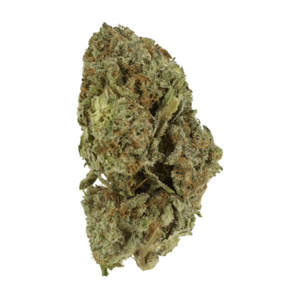 Gelato Sorbet – 1 ounce | Budderweeds Canada