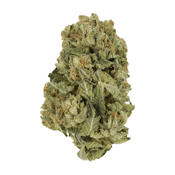 Black Domina | Budderweeds Canada