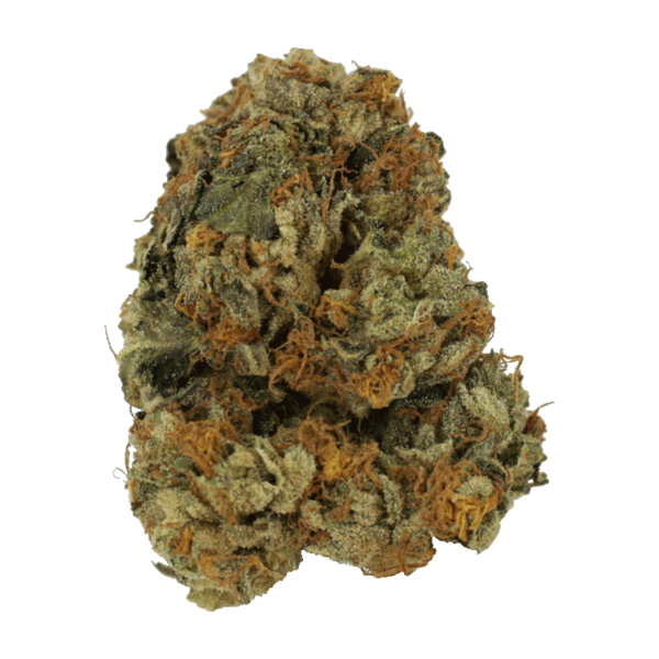 Dolato – 1OZ | Budderweeds Canada