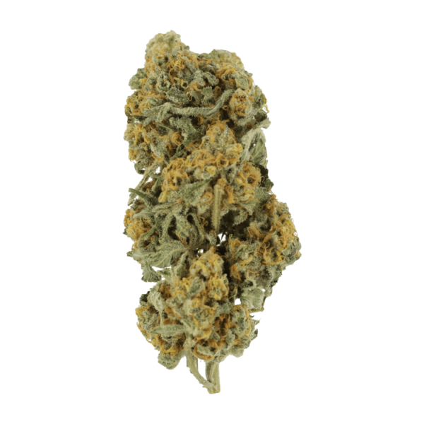 Miracle Alien Cookies | Budderweeds Canada