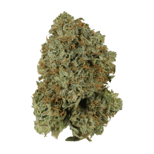 Pink Rockstar | Budderweeds Canada