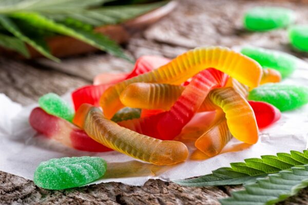 MOTA Edibles Bundles – SAVE 10% | Budderweeds Canada