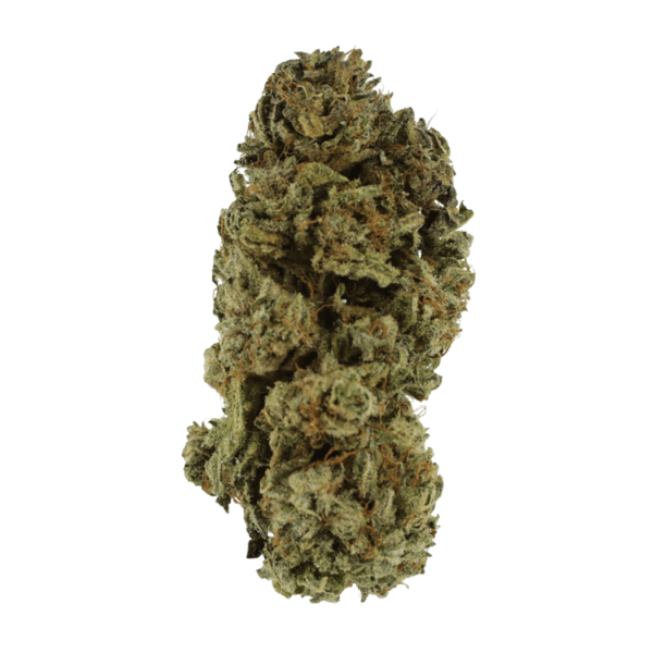 Black Kush – 1 ounce | Budderweeds Canada