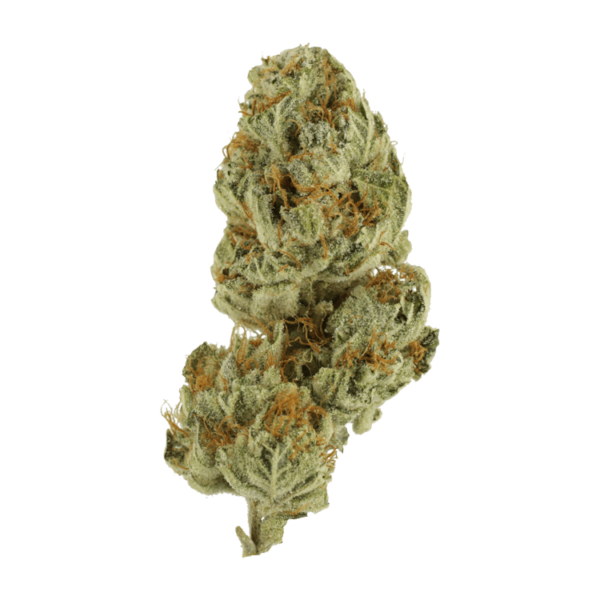 Strawberry Glue | Budderweeds Canada